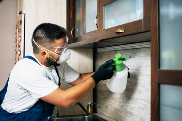 Best Pest Control Near Me  in Listoga, CA