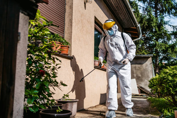 Best Cockroach Control Services  in Listoga, CA