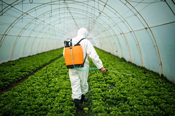 Best Pest Removal Services  in Listoga, CA