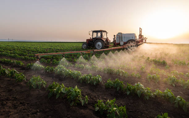 Professional Pest Control in Calistoga, CA