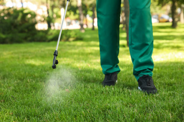 Best Commercial Pest Control Services  in Listoga, CA