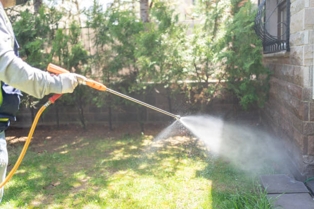 Best Exterminator Services  in Listoga, CA