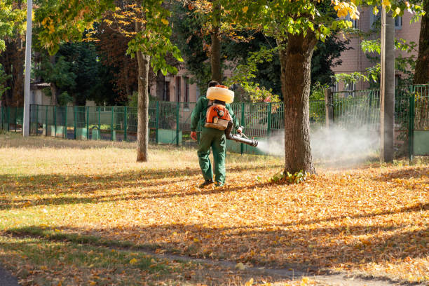 Best Spider Control Near Me  in Listoga, CA