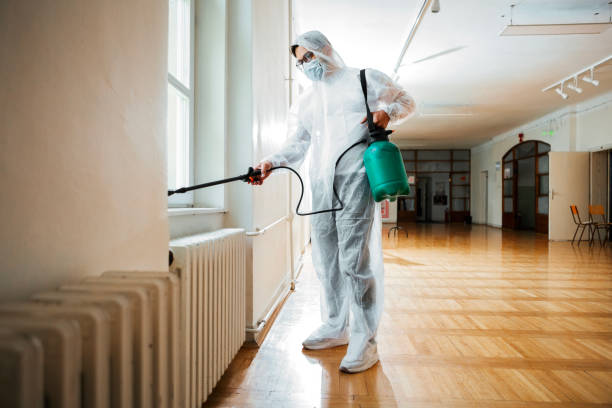 Best Bed Bug Extermination  in Listoga, CA