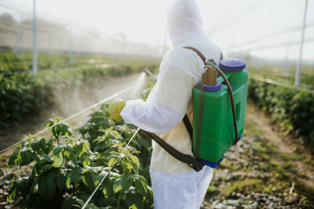 Best Pest Prevention Services  in Listoga, CA